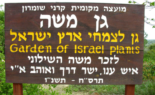 גן משה